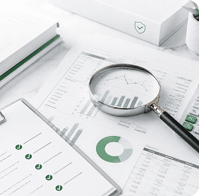 Business audit
